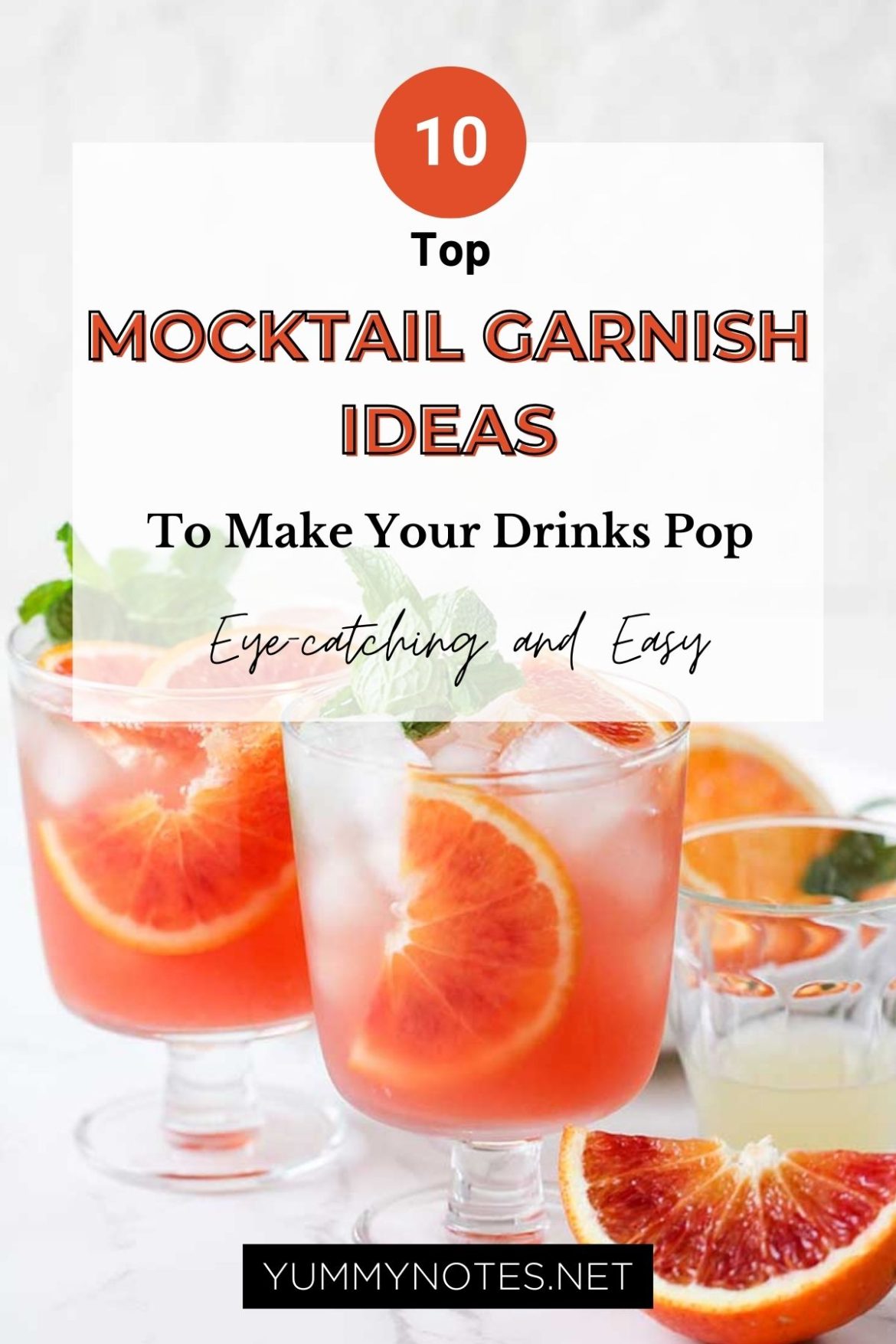 Mocktail Garnishes